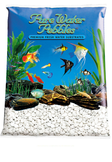 Reef Sands